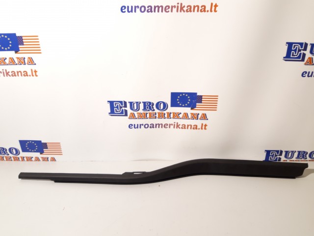 Belt Molding (left)